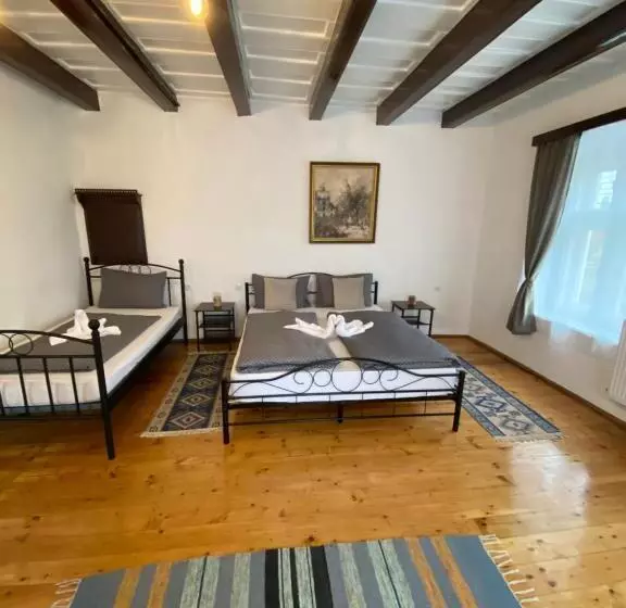 ペンション Taverna Sasului