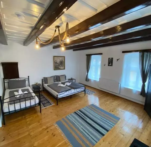 ペンション Taverna Sasului