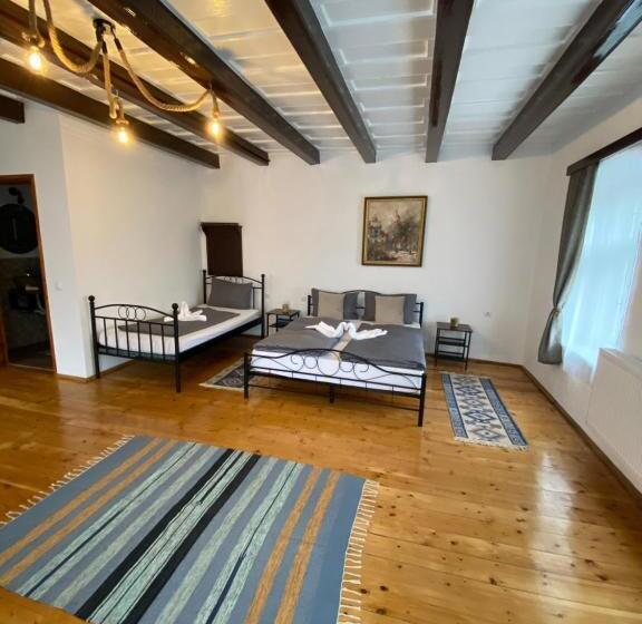 פנסיון Taverna Sasului