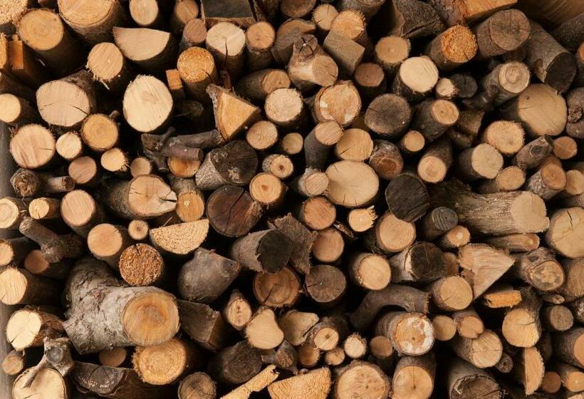 Pensionat Appartement Graf