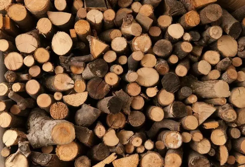 Majatalo Appartement Graf