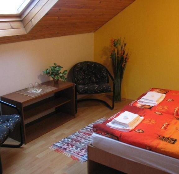 הוסטל Bed & Breakfast Penzion Brno