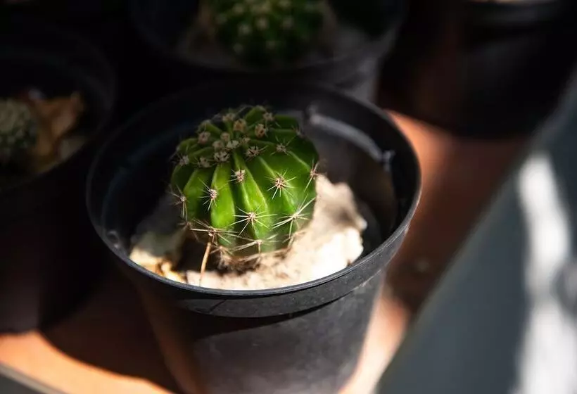 住宿加早餐  Maison Twentyfive