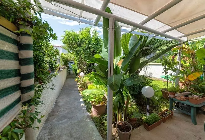 住宿加早餐  Maison Twentyfive