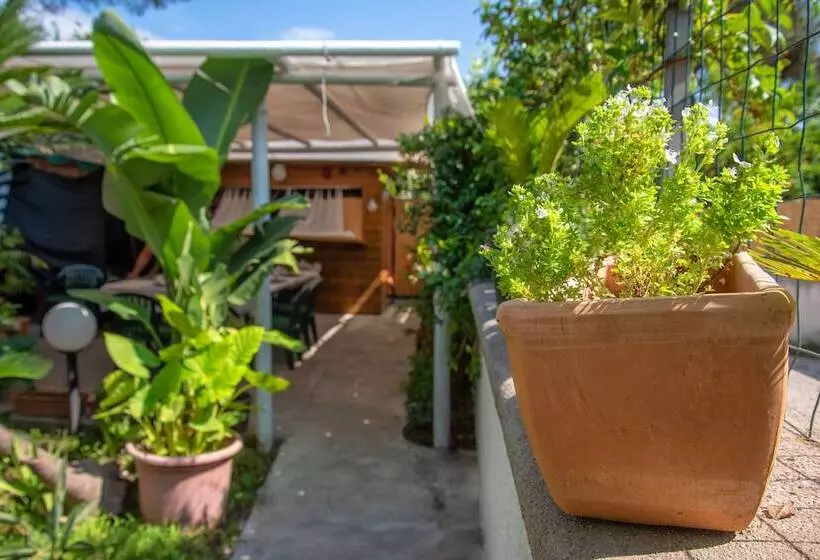 住宿加早餐  Maison Twentyfive