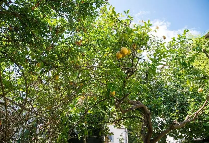 住宿加早餐  Maison Twentyfive