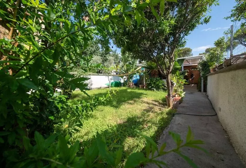 住宿加早餐  Maison Twentyfive