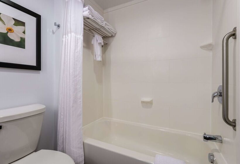 فندق Hilton Garden Inn Roanoke