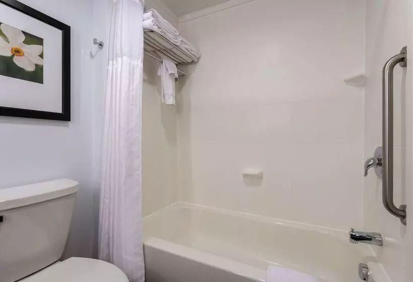 호텔 Hilton Garden Inn Roanoke