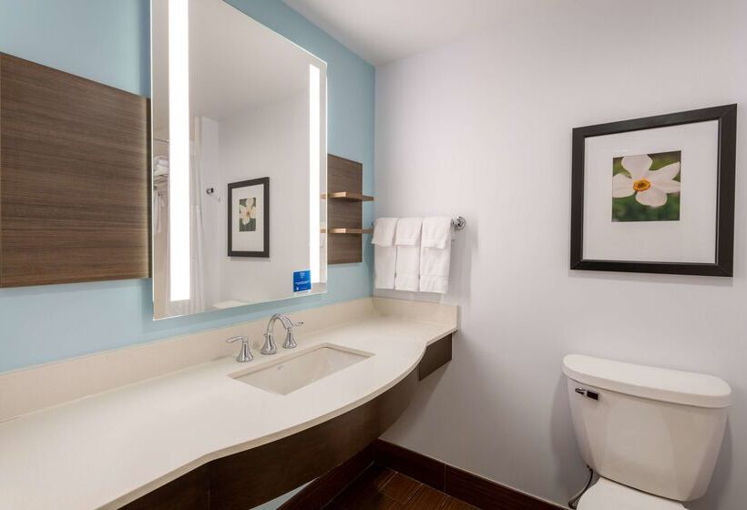 فندق Hilton Garden Inn Roanoke