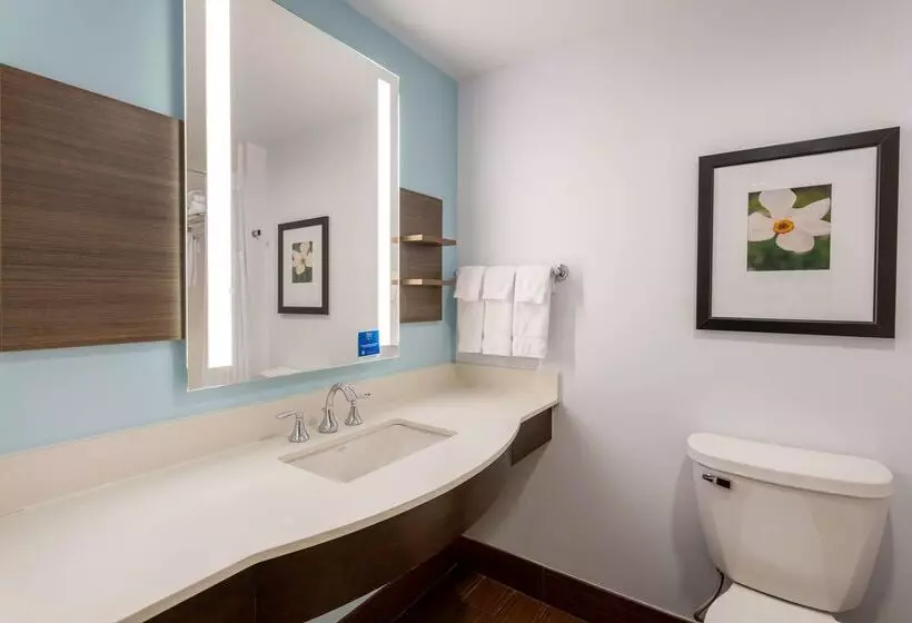 호텔 Hilton Garden Inn Roanoke