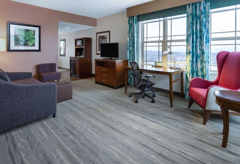 فندق Hilton Garden Inn Roanoke