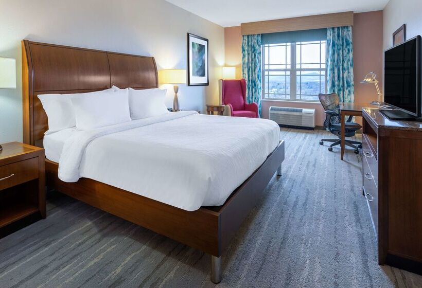 فندق Hilton Garden Inn Roanoke