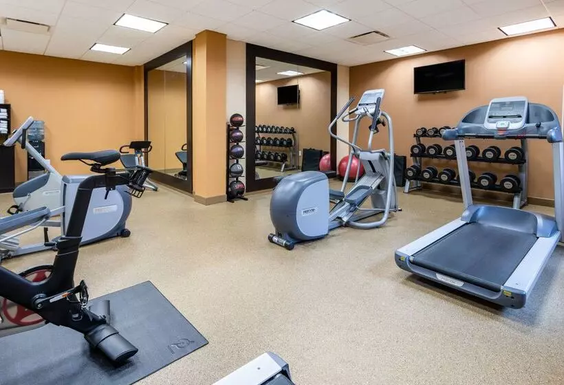 호텔 Hilton Garden Inn Roanoke