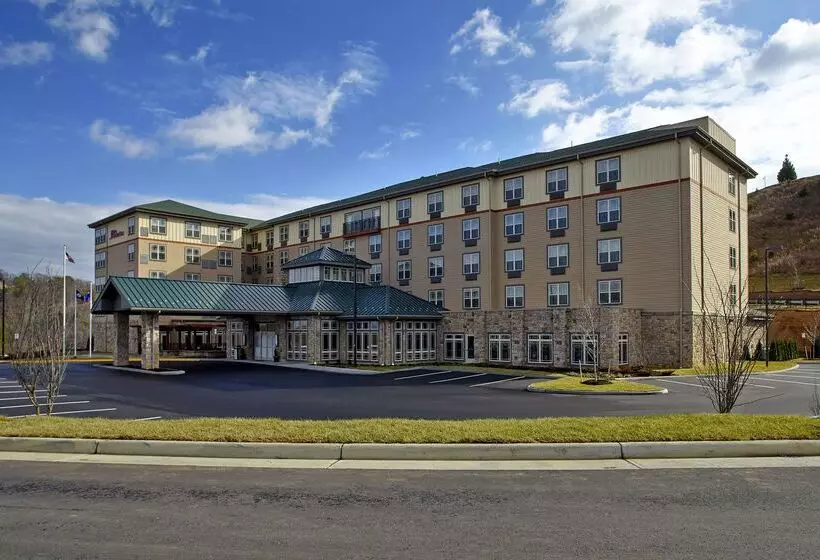 호텔 Hilton Garden Inn Roanoke