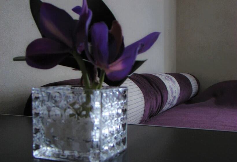 هتل Petit Recoleta Suites