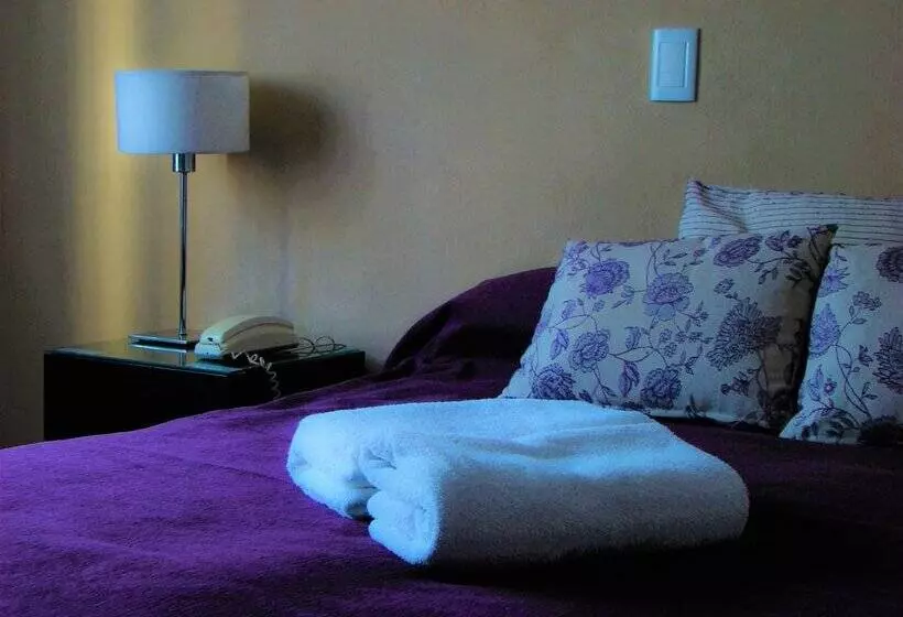 هتل Petit Recoleta Suites