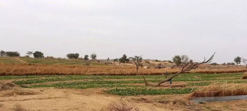 هتل Umaid Safaris & Desert Lodge