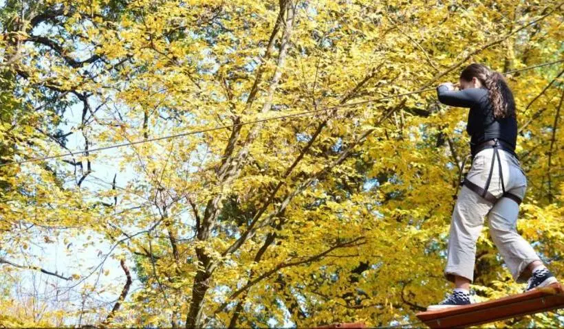 Отель Villa Franca