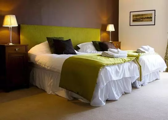 פנסיון Swan At Forton