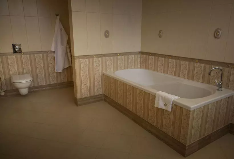 בית מלון כפרי Business Club  Razumovsky