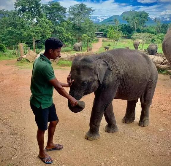 Hotelli Elepath Lodge  Pinnawala