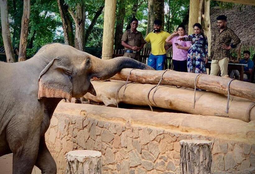 ホテル Elepath Lodge Pinnawala