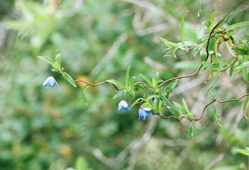 Barnville@bremer Bed & Breakfast