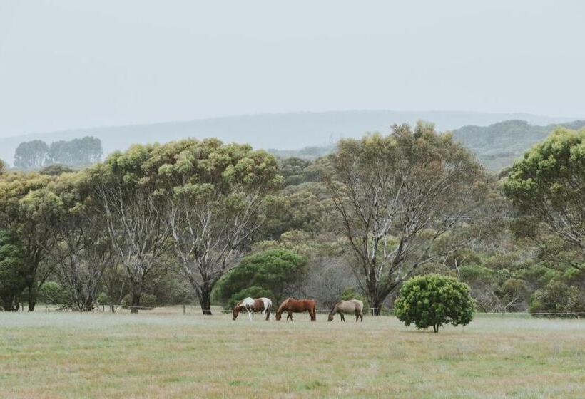 Barnville@bremer Bed & Breakfast