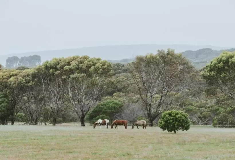 Barnville@bremer Bed & Breakfast