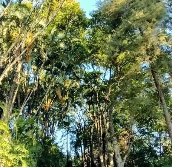 ペンション Campo Dos Sonhos