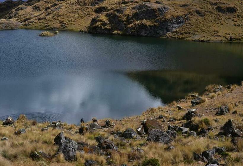 펜션 Hospedaje Medicina Y Temazcal