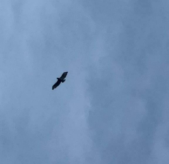 צימר De Verbinding