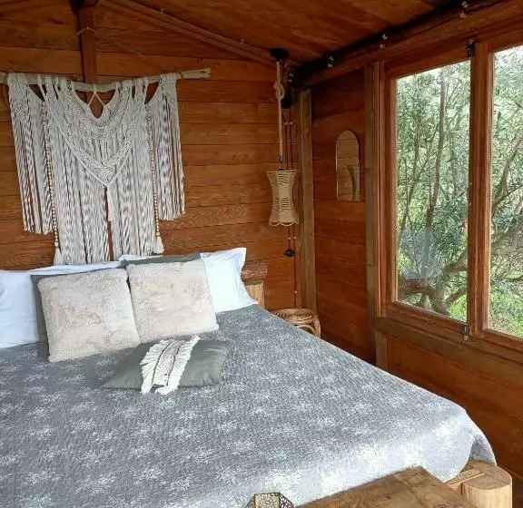 ベッドアンドブレックファースト The Treehouse   Casa Sull Albero Al Golden Camp