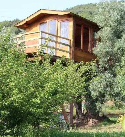 ベッドアンドブレックファースト The Treehouse   Casa Sull Albero Al Golden Camp