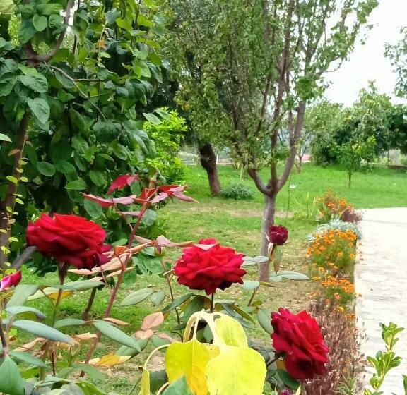 بنسيون Meti Guest House