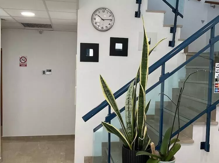 Pension Campello The Blue Med