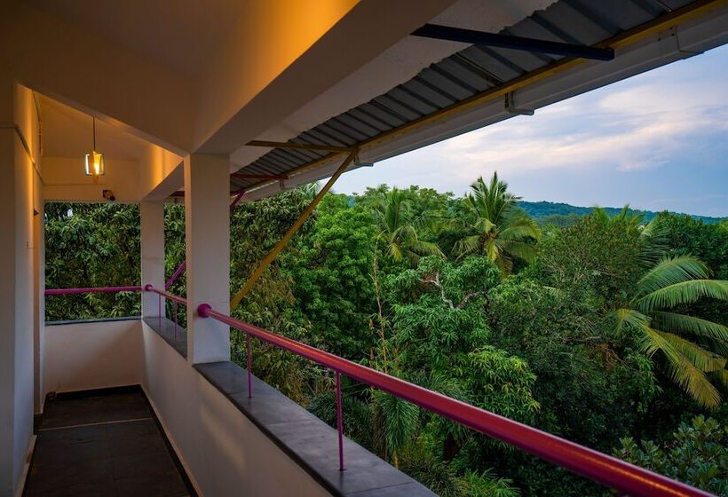 Albergue Gostops Plus Goa Vagator