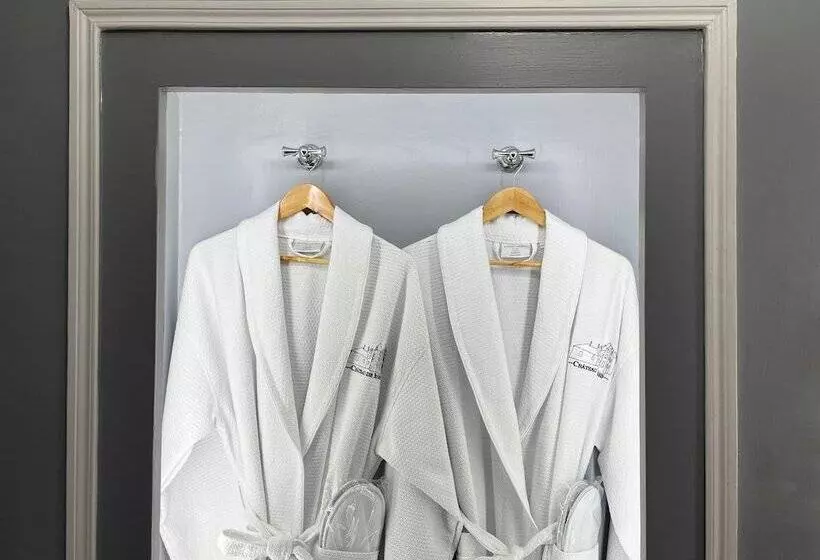 ベッドアンドブレックファースト Château De Bruges