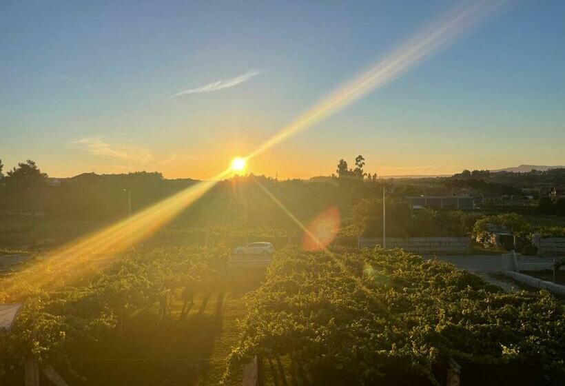 호텔 Habitación Deluxe Rodeada De Viñedos