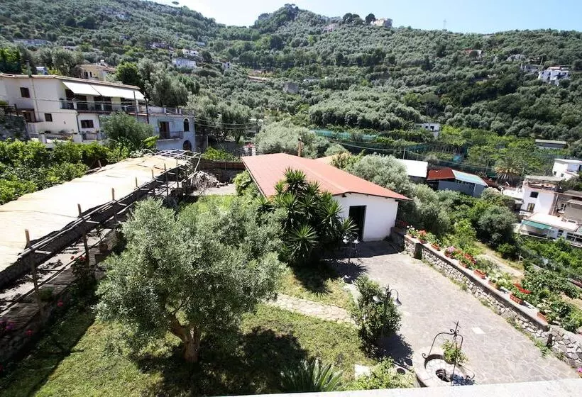 住宿加早餐  San Francesco Relais