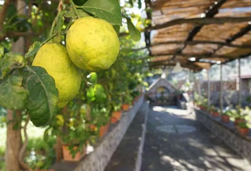 住宿加早餐  San Francesco Relais