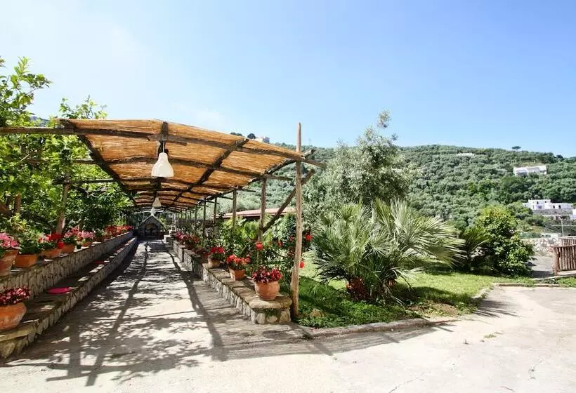 住宿加早餐  San Francesco Relais