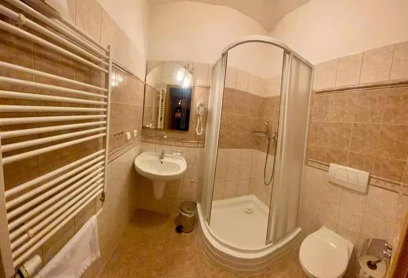 هتل Penzion černý Kůň