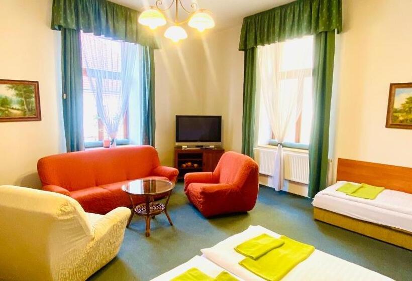 בית מלון כפרי Penzion černý Kůň