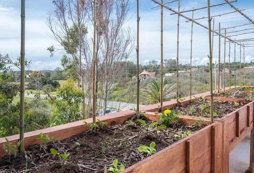 Hotel Portobello Suites