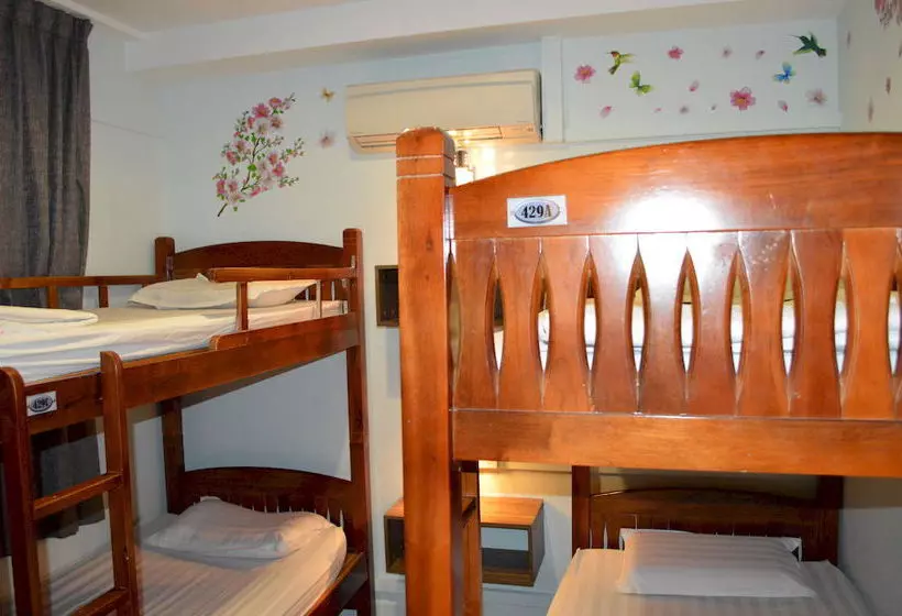 Mercury Backpackers Hostel