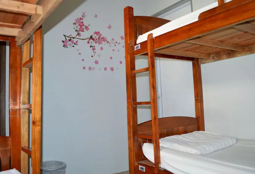 Mercury Backpackers Hostel