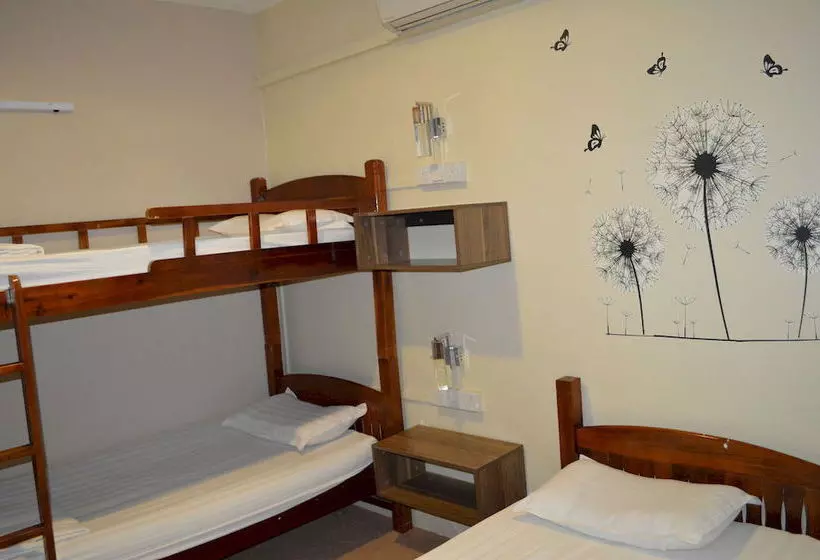 Mercury Backpackers Hostel