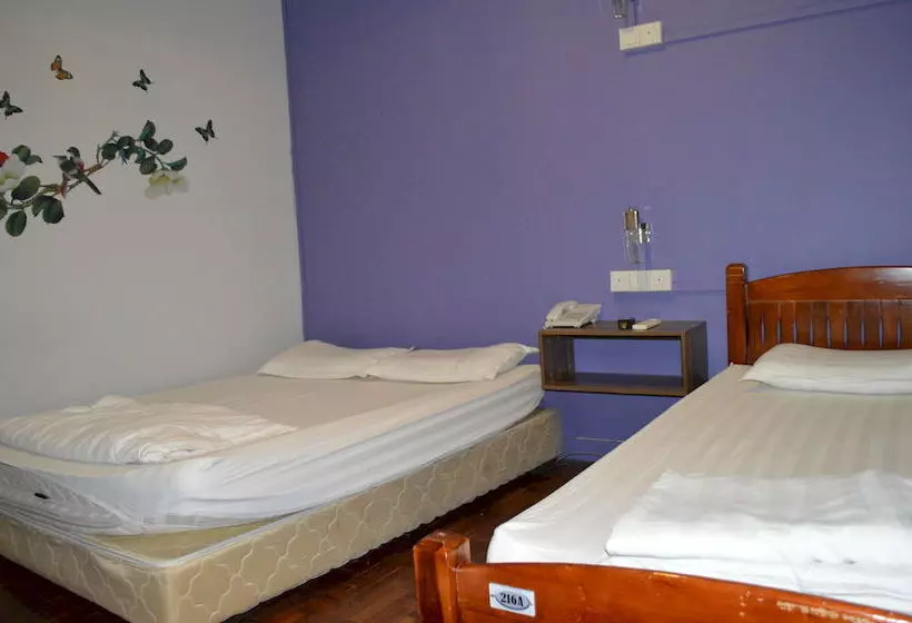 Mercury Backpackers Hostel